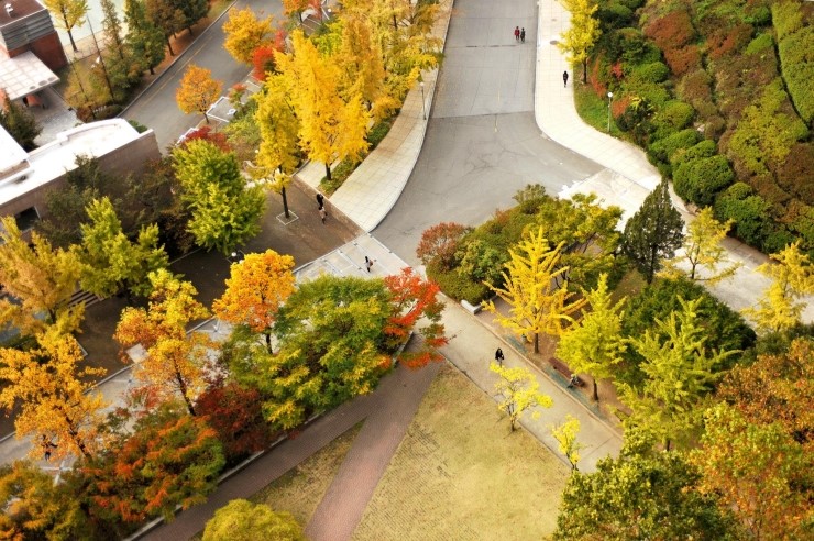 Khung cảnh mùa thu tuyệt đẹp tại Kookmin University Khung cảnh mùa thu tuyệt đẹp tại Kookmin University